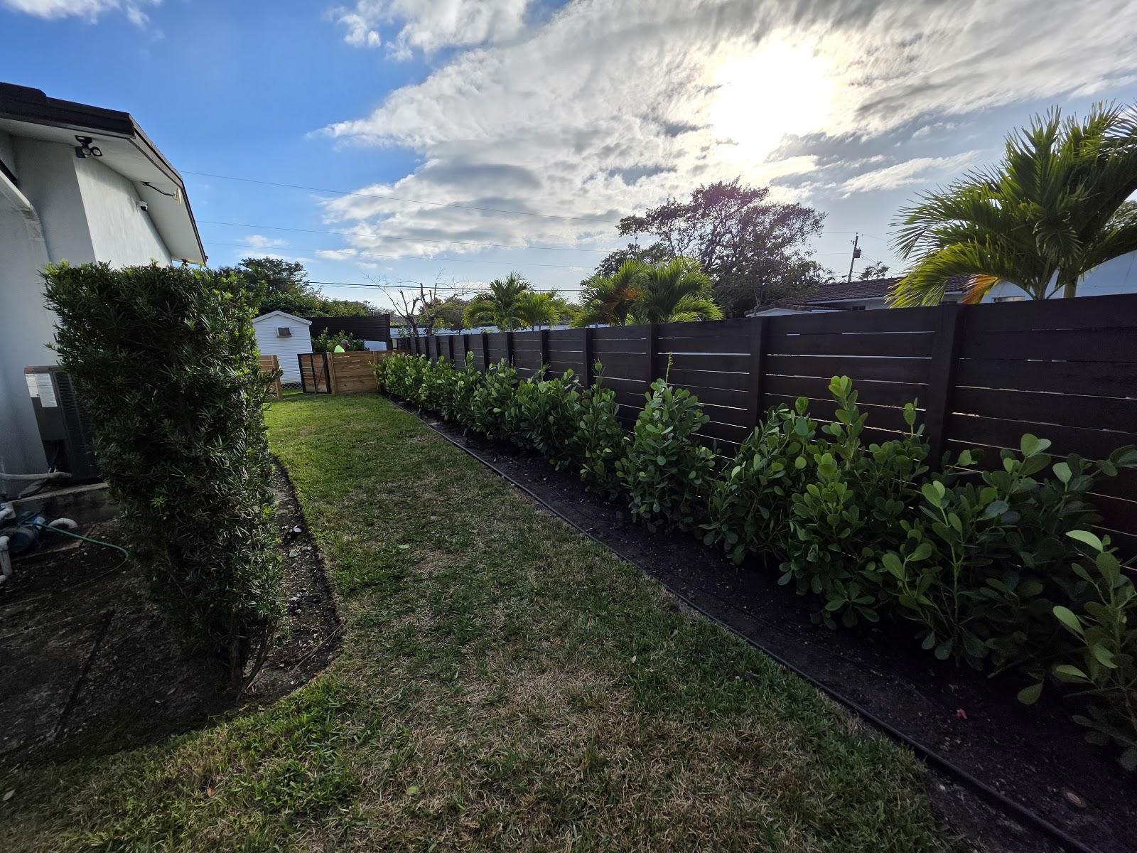 Tree service